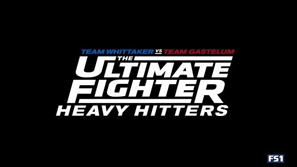 The Ultimate Fighter: Heavy Hitters S28 E12