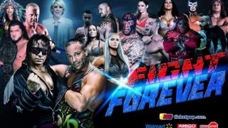 Watch Tribute to Bret Hart Fight Forever 2020 1/11/20