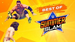 WWE The Best Of SummerSlam Matches